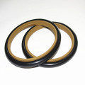 High Extruded PTFE Rod Seals